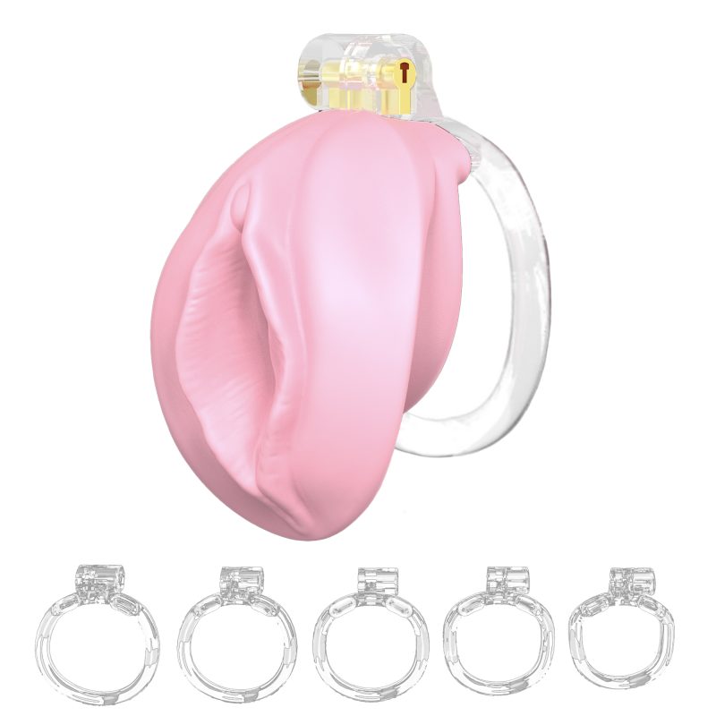 pussy chastity device