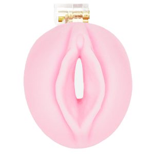 pussy chastity device