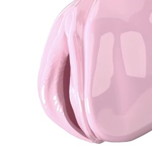 Pussy Chastity Cage