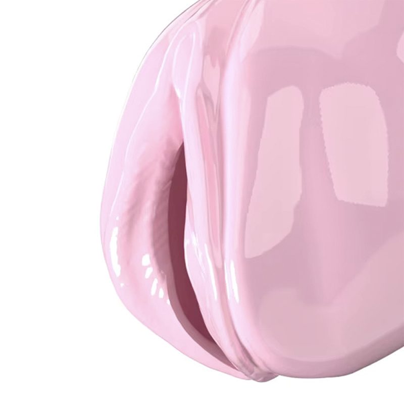 Pussy Chastity Cage