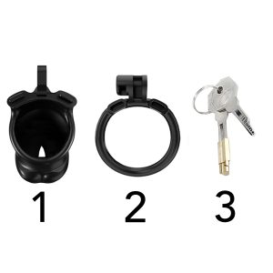Fully enclosed chastity device